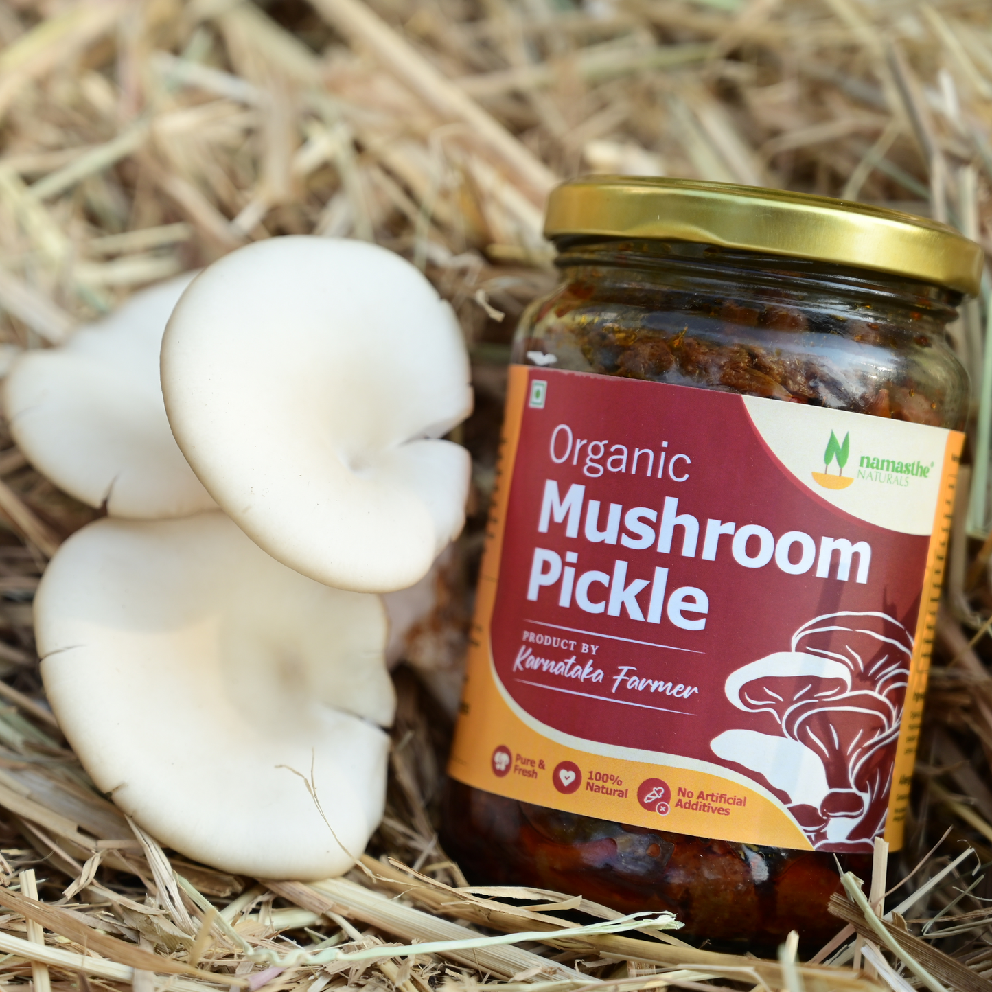 Oyster And Milky Mushroom Pickle